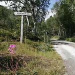 Reinunga Eco Hytta - Mountain Near Accessible Only By Train Or Bike * Myrdal