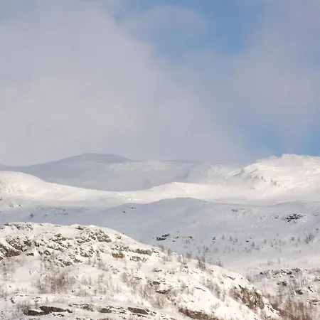 Reinunga Eco Hytta - Mountain Near Accessible Only By Train Or Bike بيت خشبي *