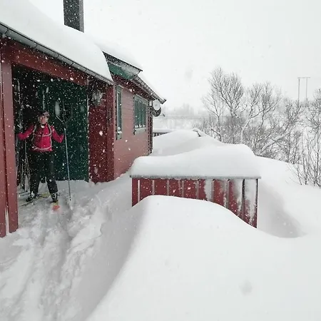 Lodge Reinunga Eco Hytta - Mountain Near Accessible Only By Train Or Bike Myrdal