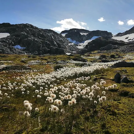 Lodge Reinunga Eco Hytta - Mountain Near Accessible Only By Train Or Bike Myrdal