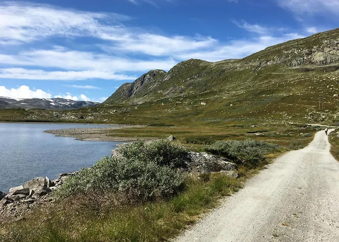 Reinunga Eco Hytta - Mountain Near Accessible Only By Train Or Bike Myrdal
