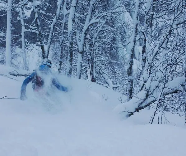 Reinunga Eco Hytta - Mountain Near Accessible Only By Train Or Bike *