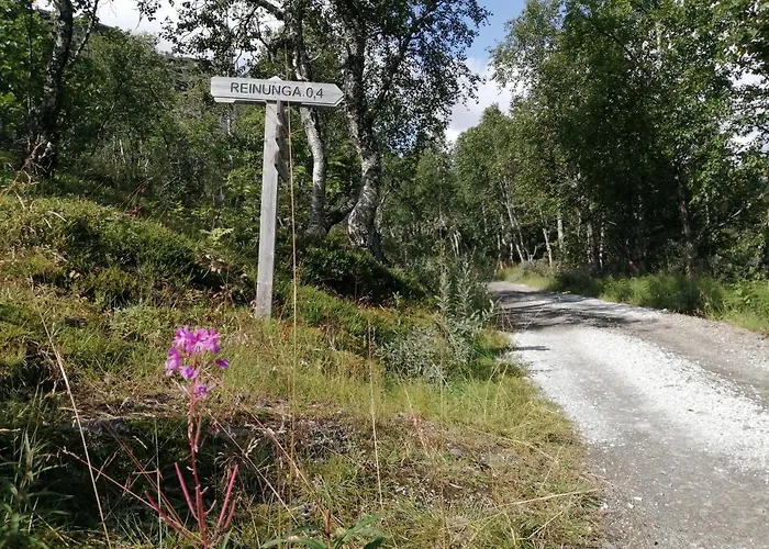 Reinunga Eco Hytta - Mountain Near Accessible Only By Train Or Bike * Myrdal