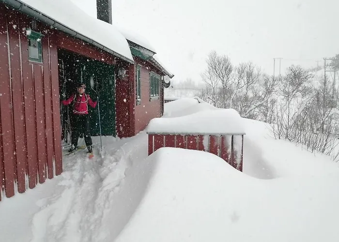 Chata Reinunga Eco Hytta - Mountain Near Accessible Only By Train Or Bike Myrdal