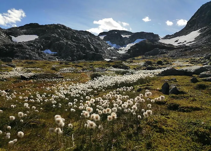 Orman Evi Reinunga Eco Hytta - Mountain Near Accessible Only By Train Or Bike Myrdal